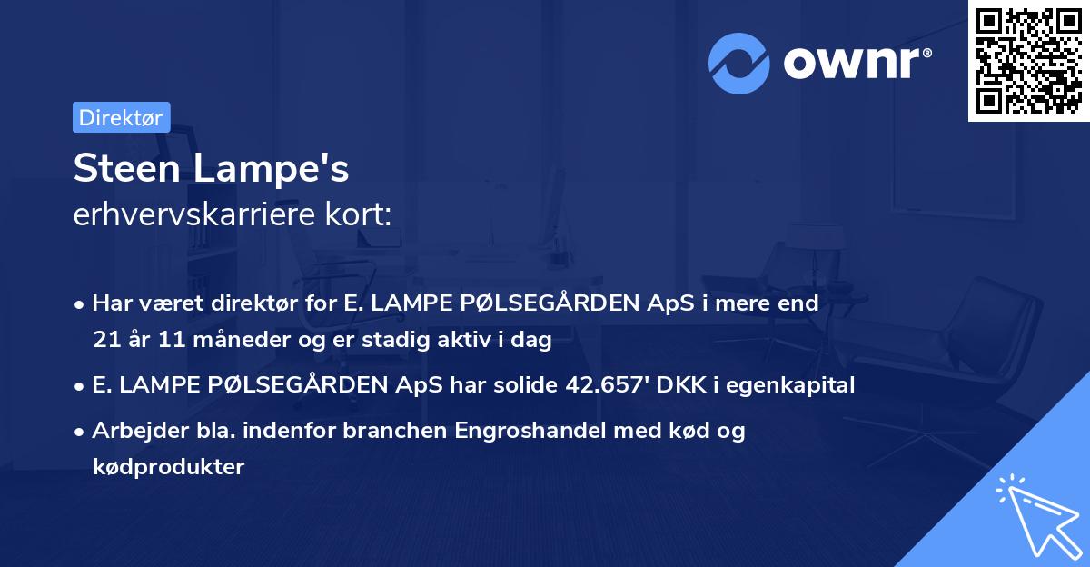 Steen Lampe's erhvervskarriere kort