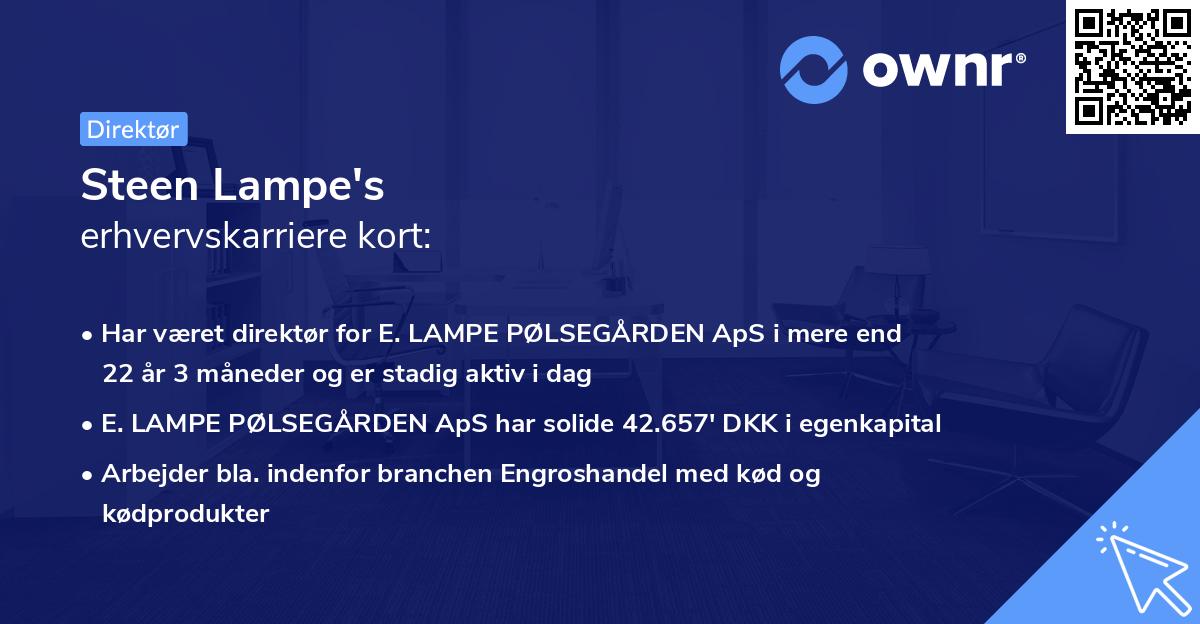 Steen Lampe's erhvervskarriere kort