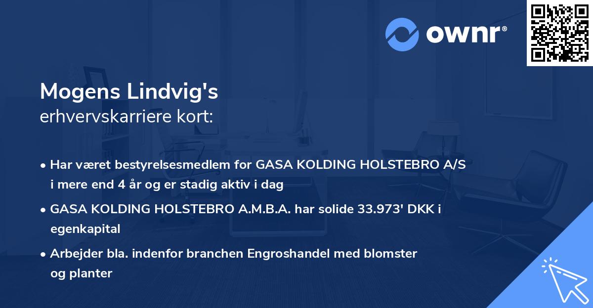 Mogens Lindvig's erhvervskarriere kort