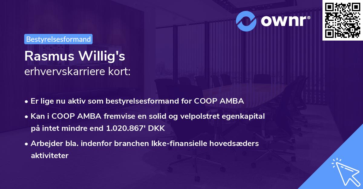 Rasmus Willig's erhvervskarriere kort