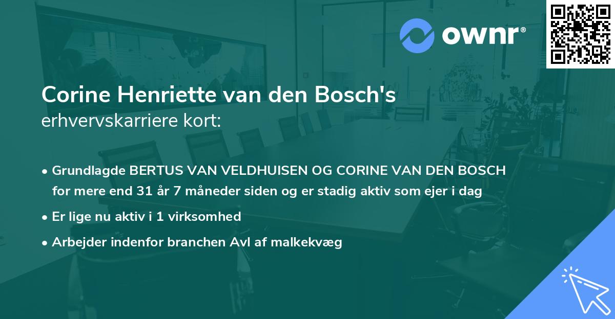 Corine Henriette van den Bosch's erhvervskarriere kort
