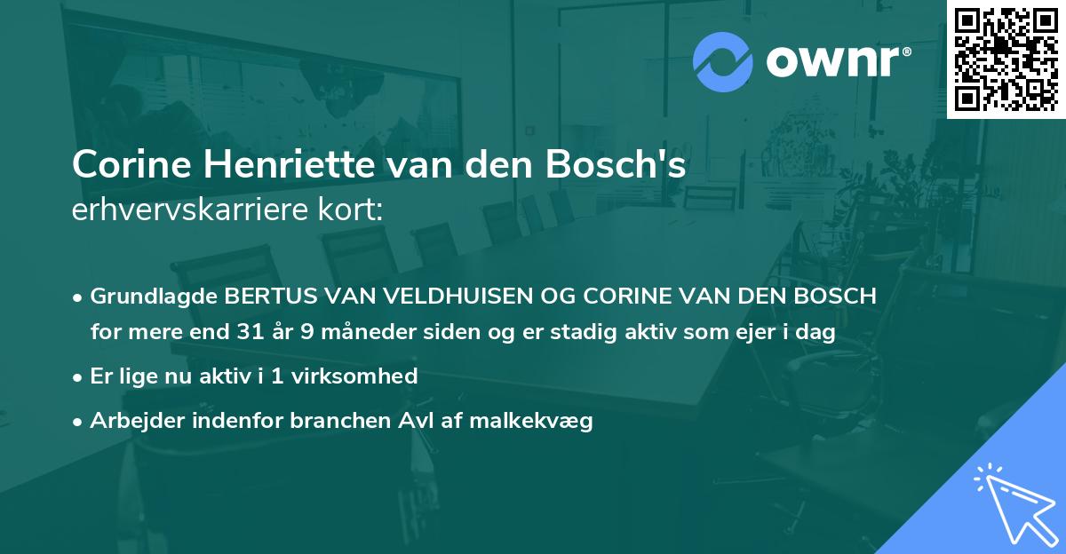Corine Henriette van den Bosch's erhvervskarriere kort