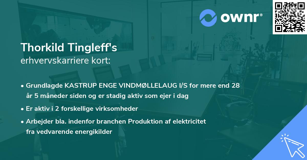 Thorkild Tingleff's erhvervskarriere kort