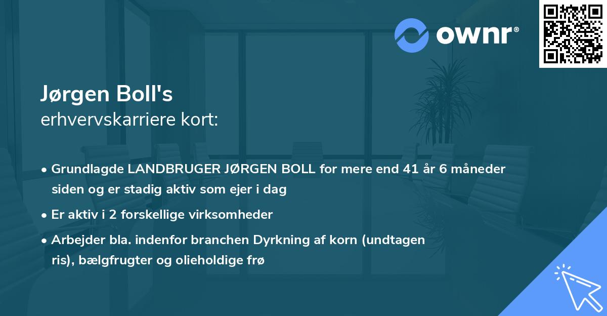Jørgen Boll's erhvervskarriere kort