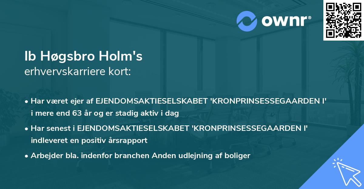 Ib Høgsbro Holm's erhvervskarriere kort