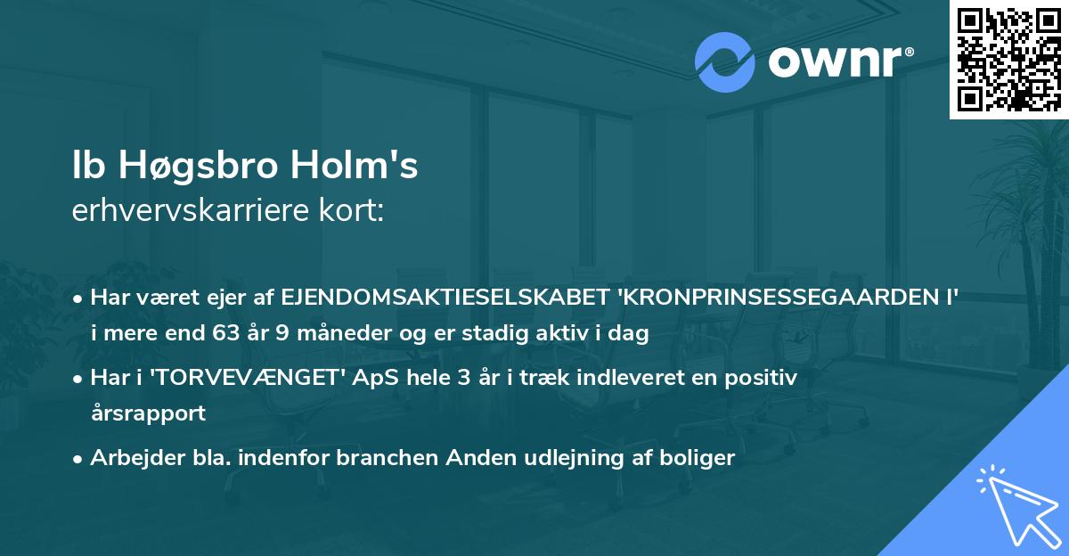 Ib Høgsbro Holm's erhvervskarriere kort