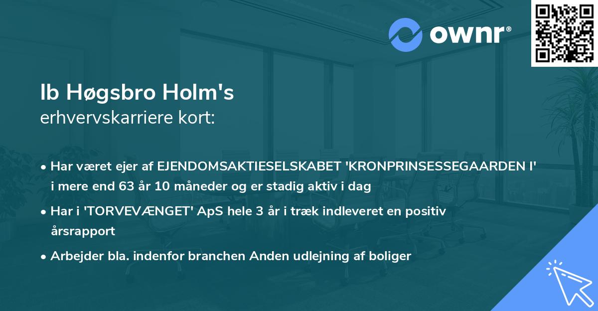 Ib Høgsbro Holm's erhvervskarriere kort