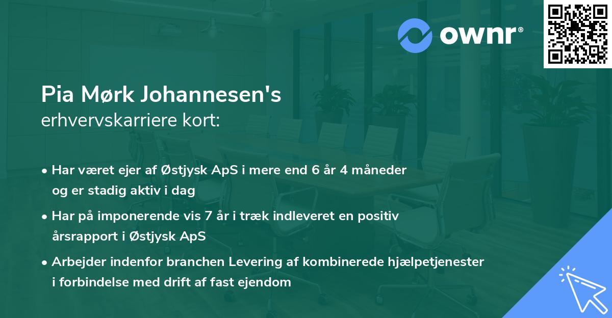 Pia Mørk Johannesen's erhvervskarriere kort