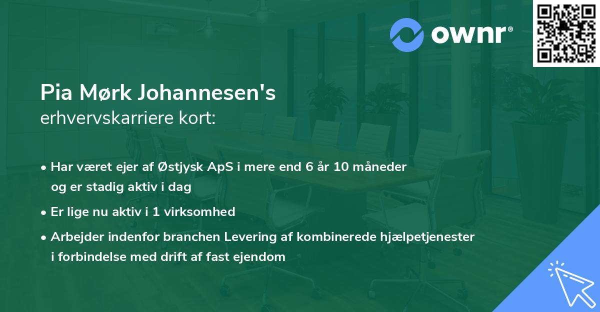 Pia Mørk Johannesen's erhvervskarriere kort