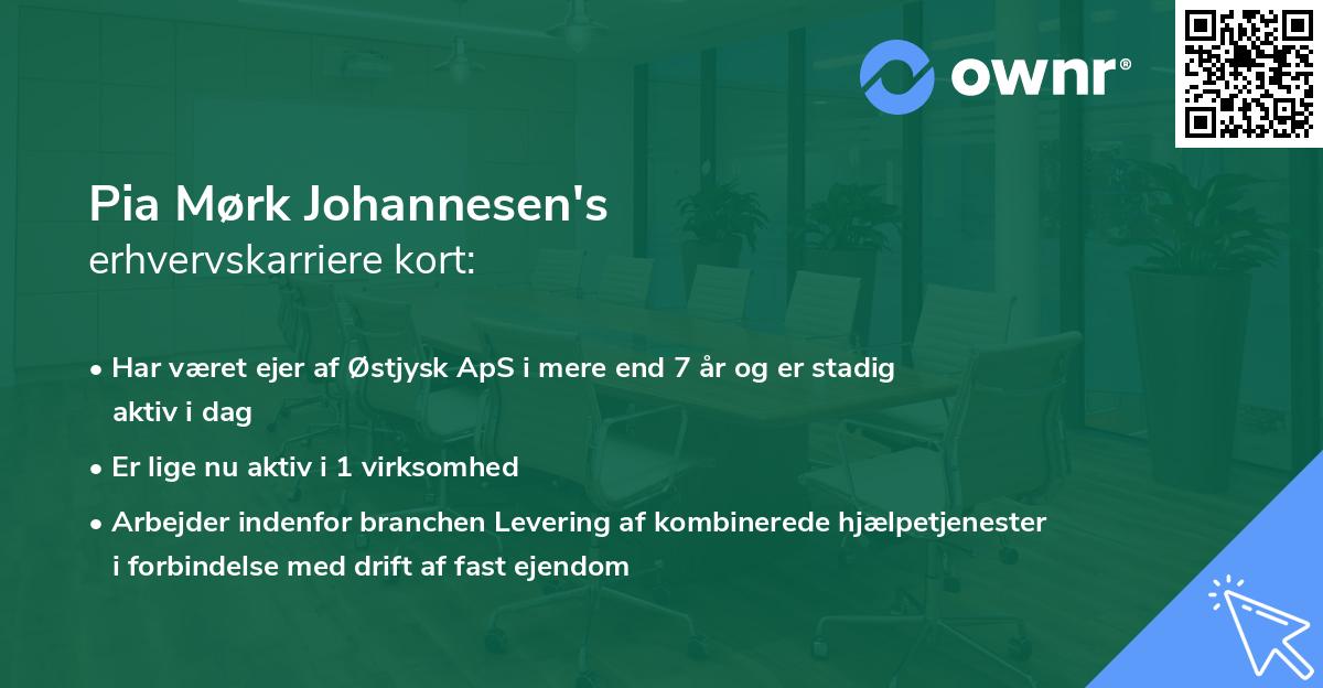 Pia Mørk Johannesen's erhvervskarriere kort