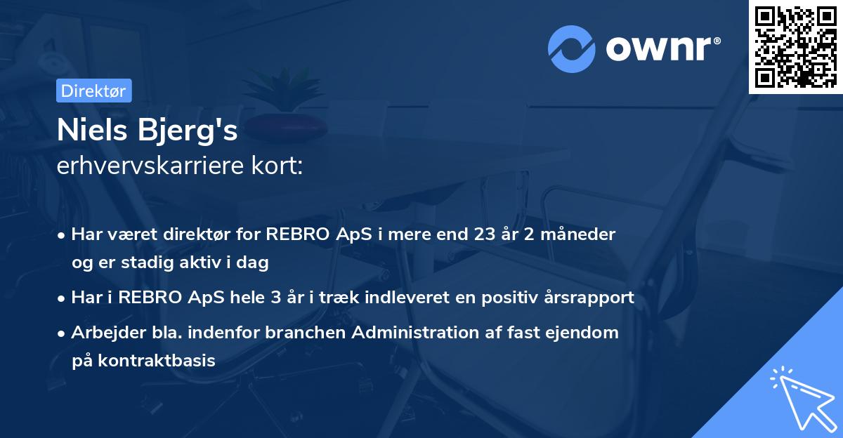 Niels Bjerg's erhvervskarriere kort