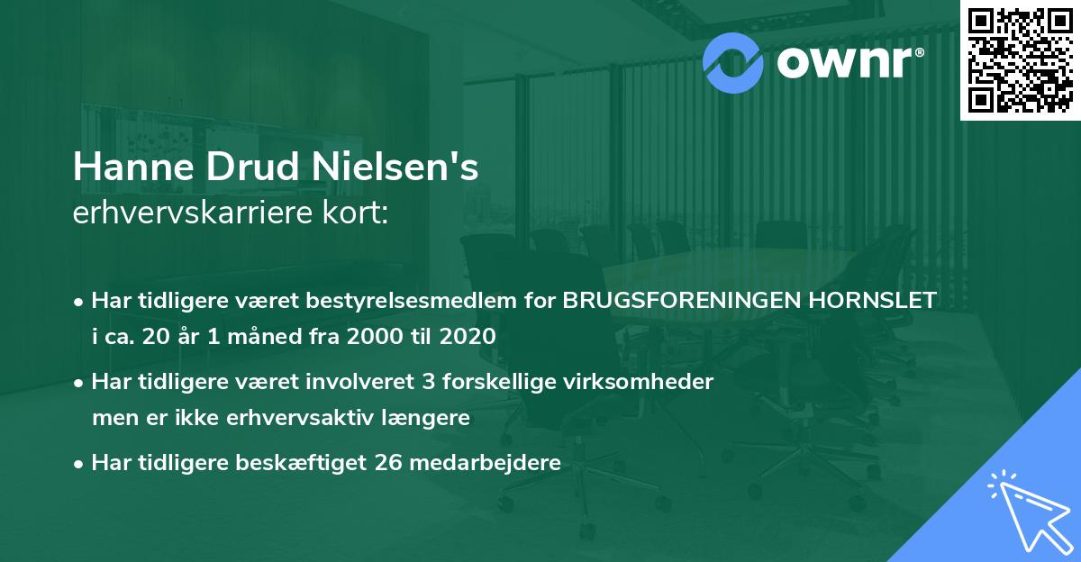 Hanne Drud Nielsen's erhvervskarriere kort