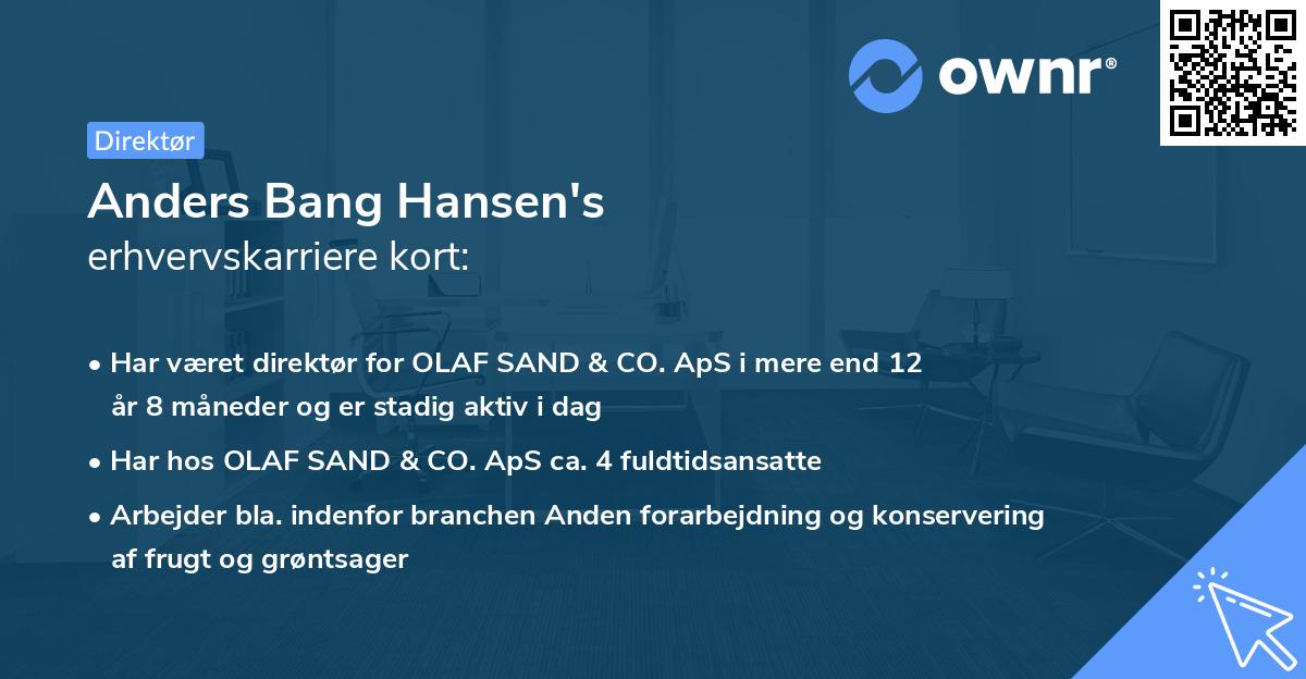 Anders Bang Hansen's erhvervskarriere kort