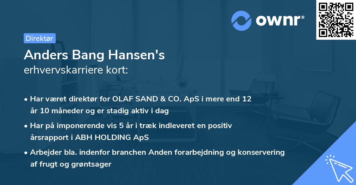 Anders Bang Hansen's erhvervskarriere kort