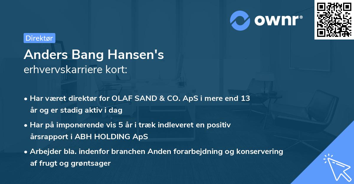 Anders Bang Hansen's erhvervskarriere kort