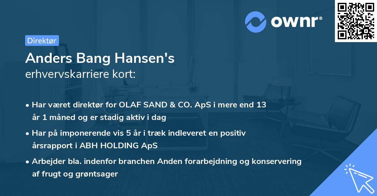 Anders Bang Hansen's erhvervskarriere kort