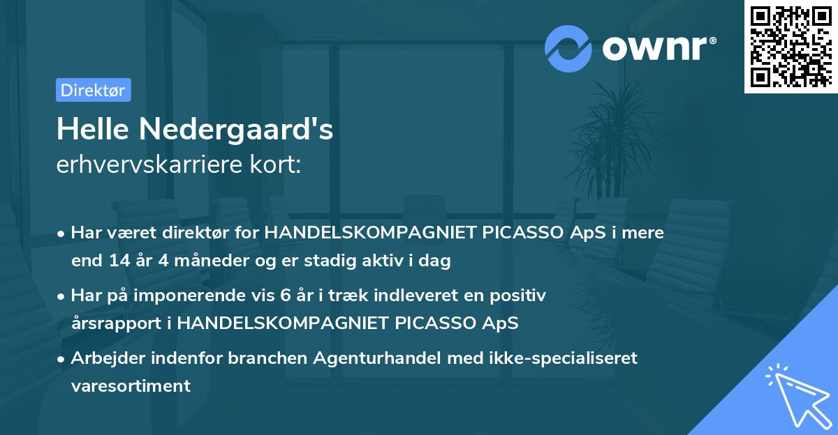 Helle Nedergaard's erhvervskarriere kort