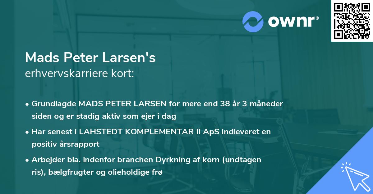 Mads Peter Larsen's erhvervskarriere kort