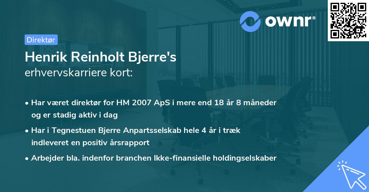 Henrik Reinholt Bjerre's erhvervskarriere kort