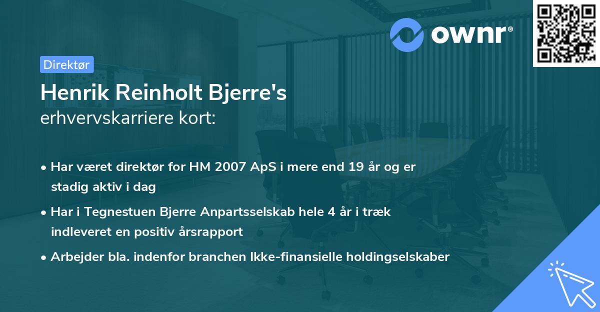 Henrik Reinholt Bjerre's erhvervskarriere kort