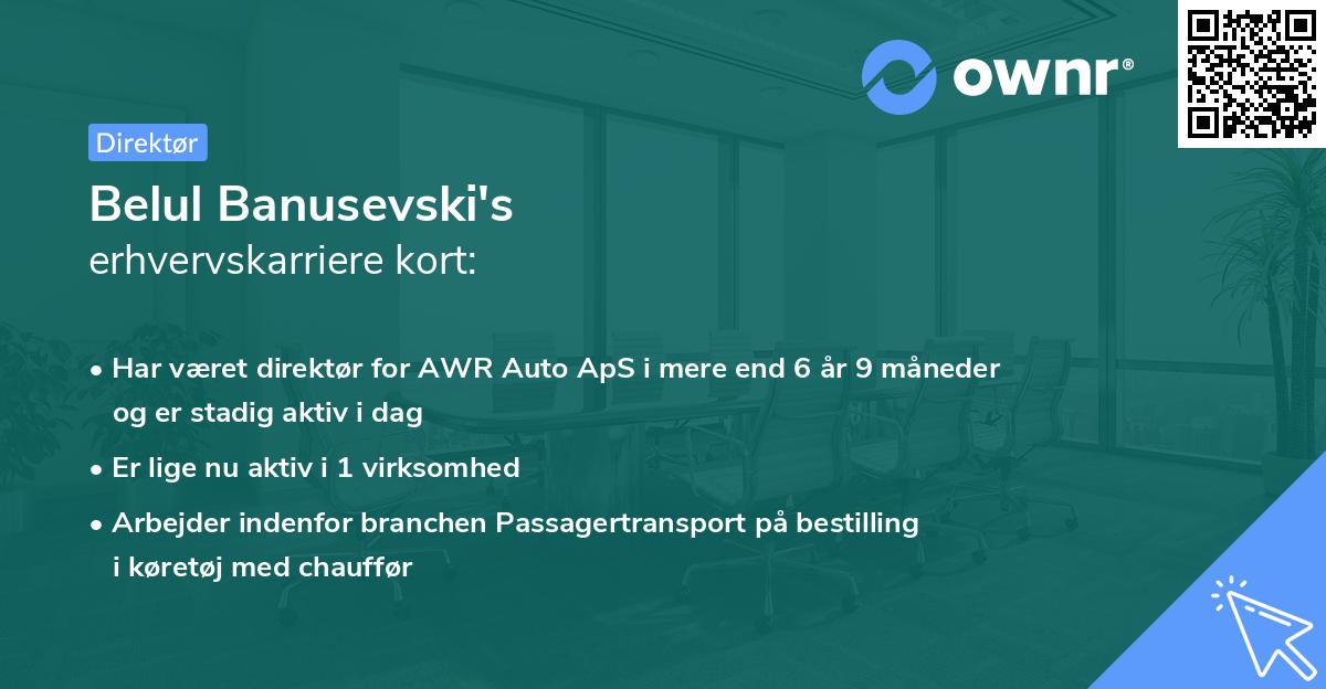 Belul Banusevski's erhvervskarriere kort