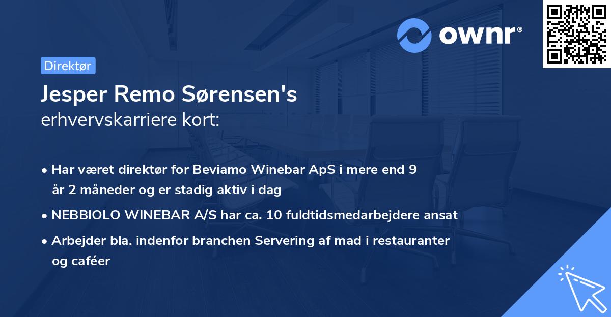 Jesper Remo Sørensen's erhvervskarriere kort