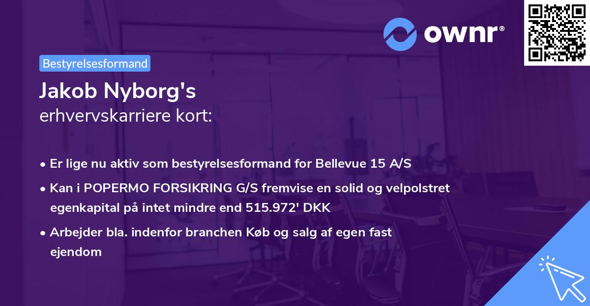 Jakob Nyborg's erhvervskarriere kort