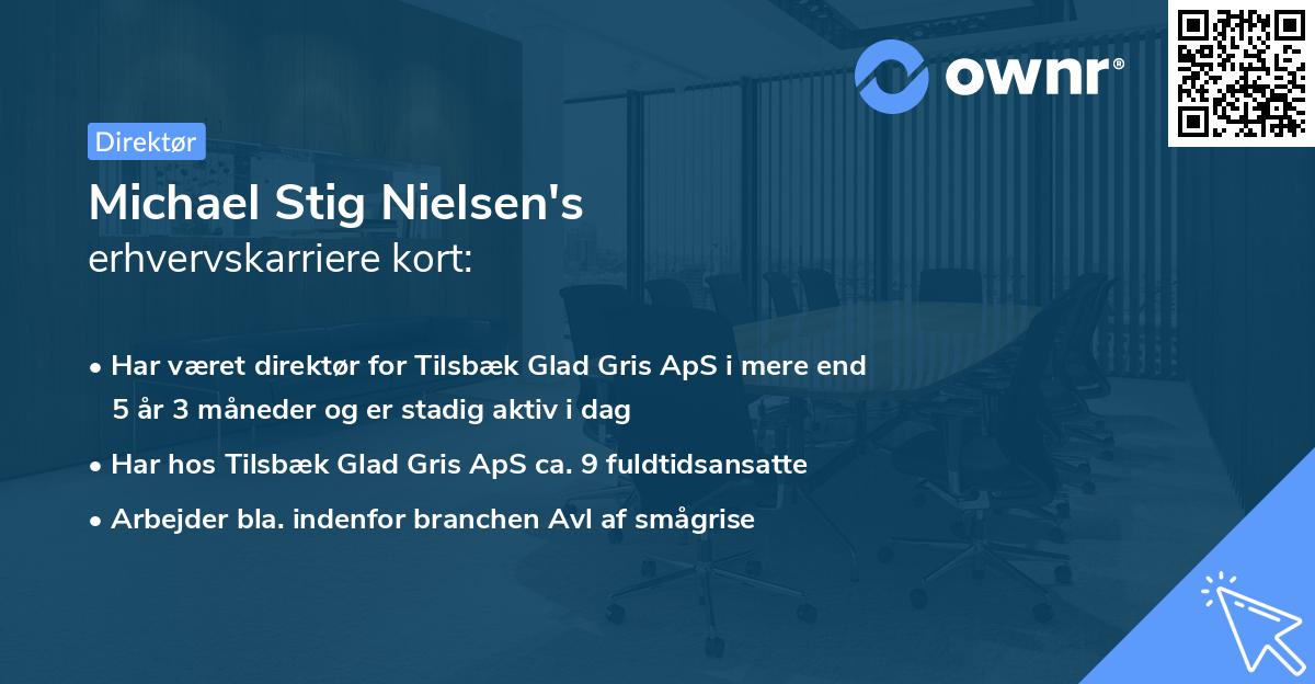 Michael Stig Nielsen's erhvervskarriere kort