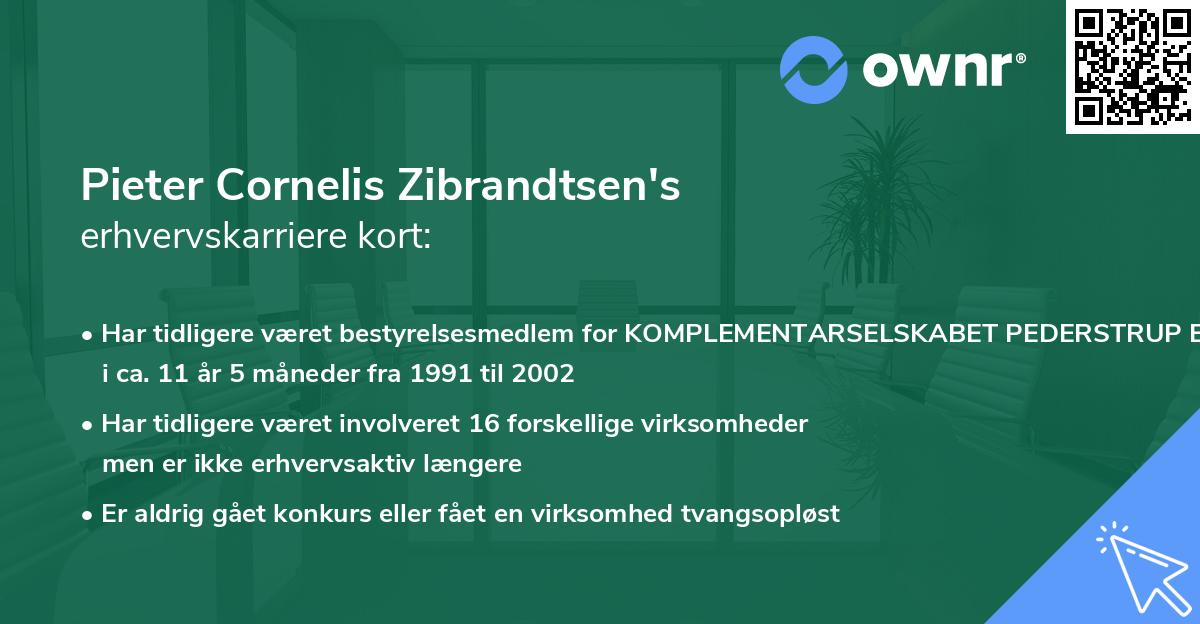 Pieter Cornelis Zibrandtsen's erhvervskarriere kort