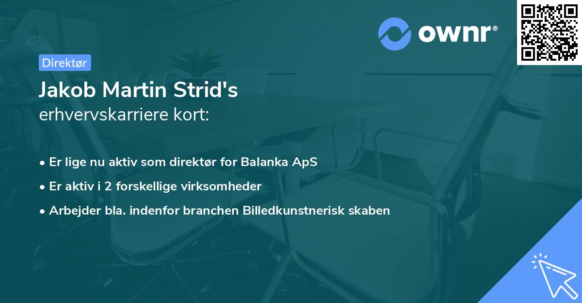 Jakob Martin Strid's erhvervskarriere kort