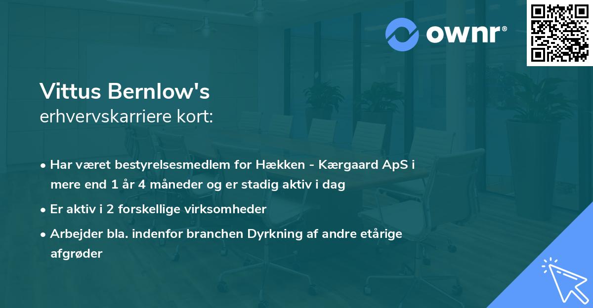 Vittus Bernlow's erhvervskarriere kort