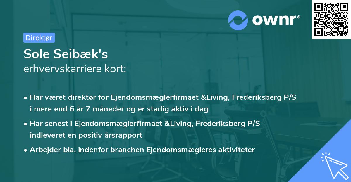 Sole Seibæk's erhvervskarriere kort
