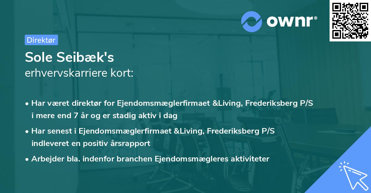 Sole Seibæk's erhvervskarriere kort