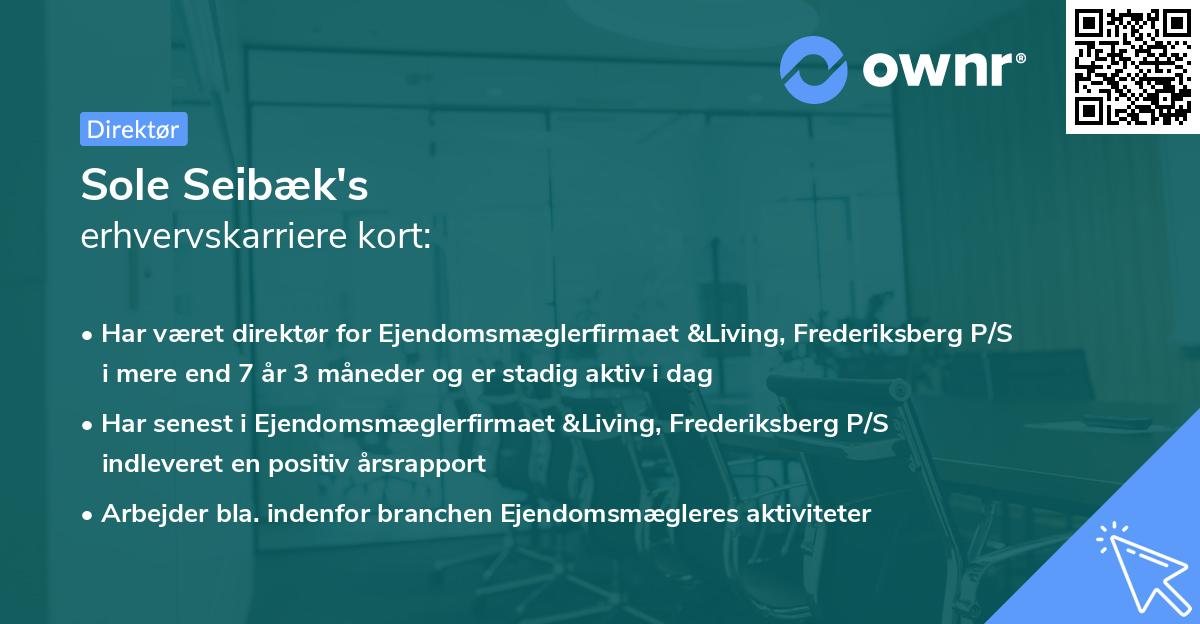 Sole Seibæk's erhvervskarriere kort