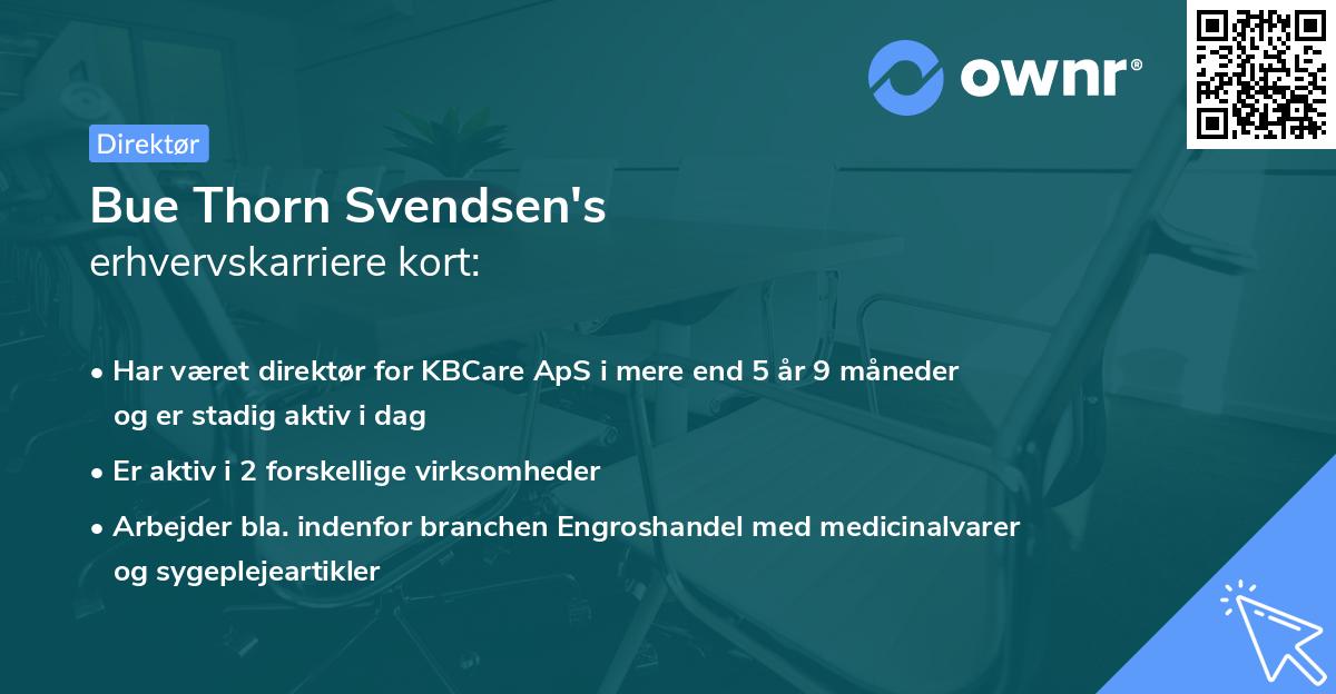 Bue Thorn Svendsen's erhvervskarriere kort