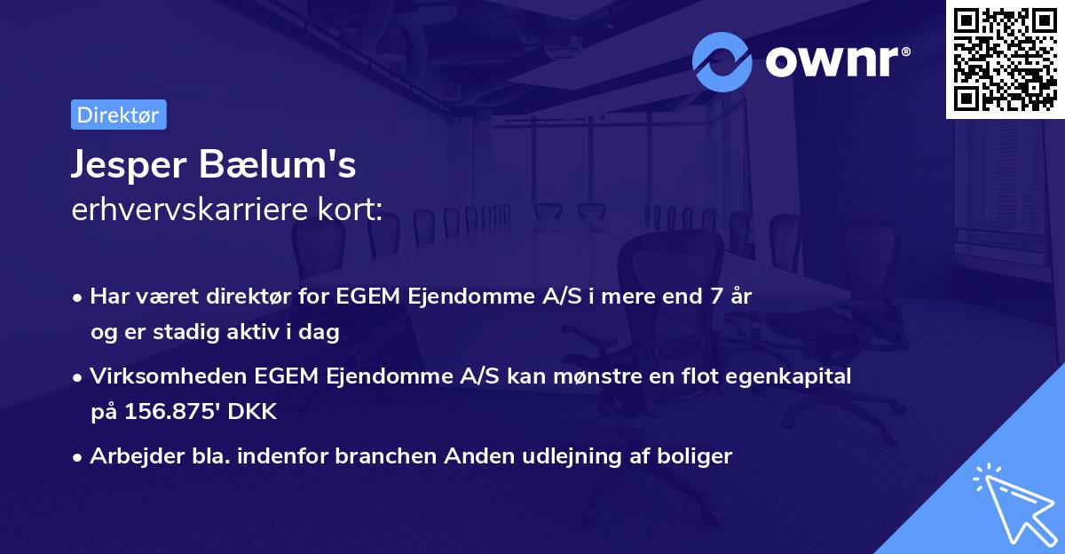 Jesper Bælum's erhvervskarriere kort