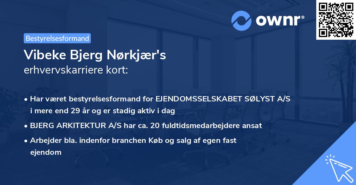 Vibeke Bjerg Nørkjær's erhvervskarriere kort