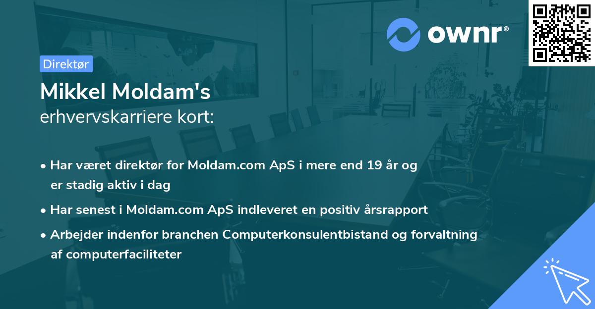 Mikkel Moldam's erhvervskarriere kort