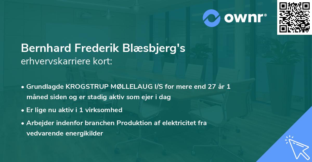 Bernhard Frederik Blæsbjerg's erhvervskarriere kort