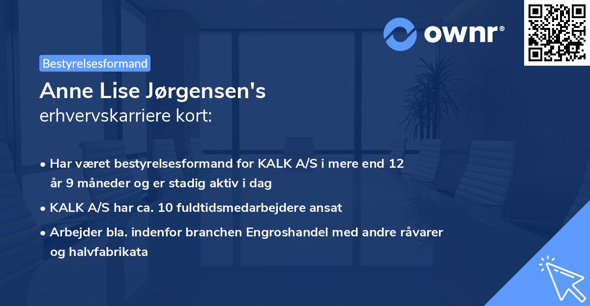 Anne Lise Jørgensen's erhvervskarriere kort