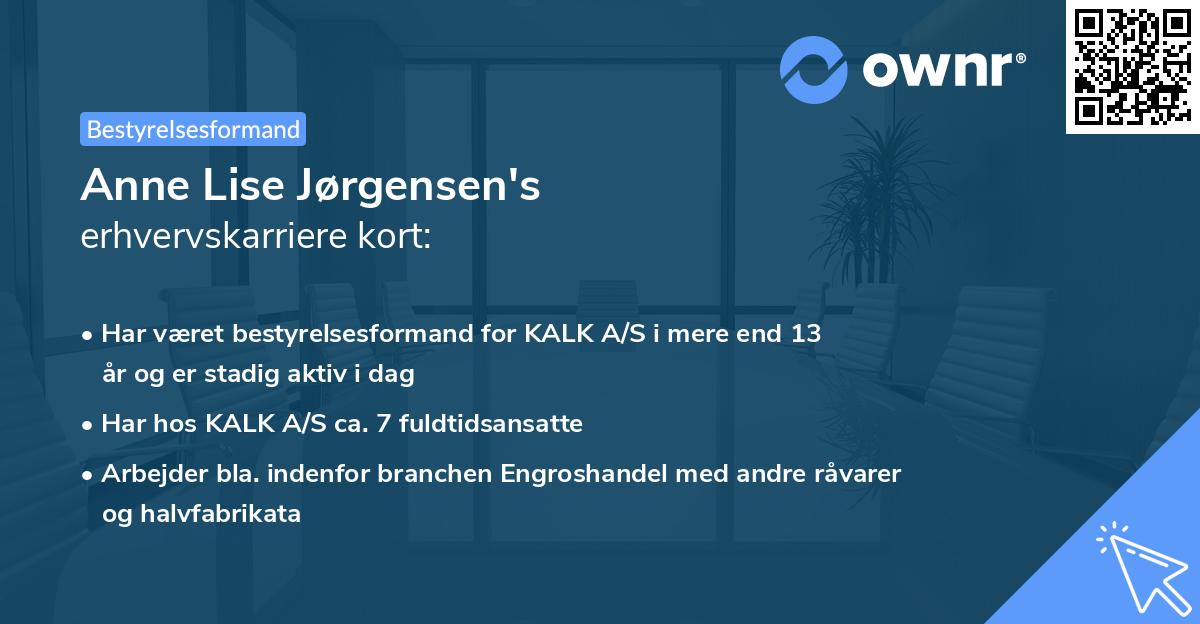 Anne Lise Jørgensen's erhvervskarriere kort