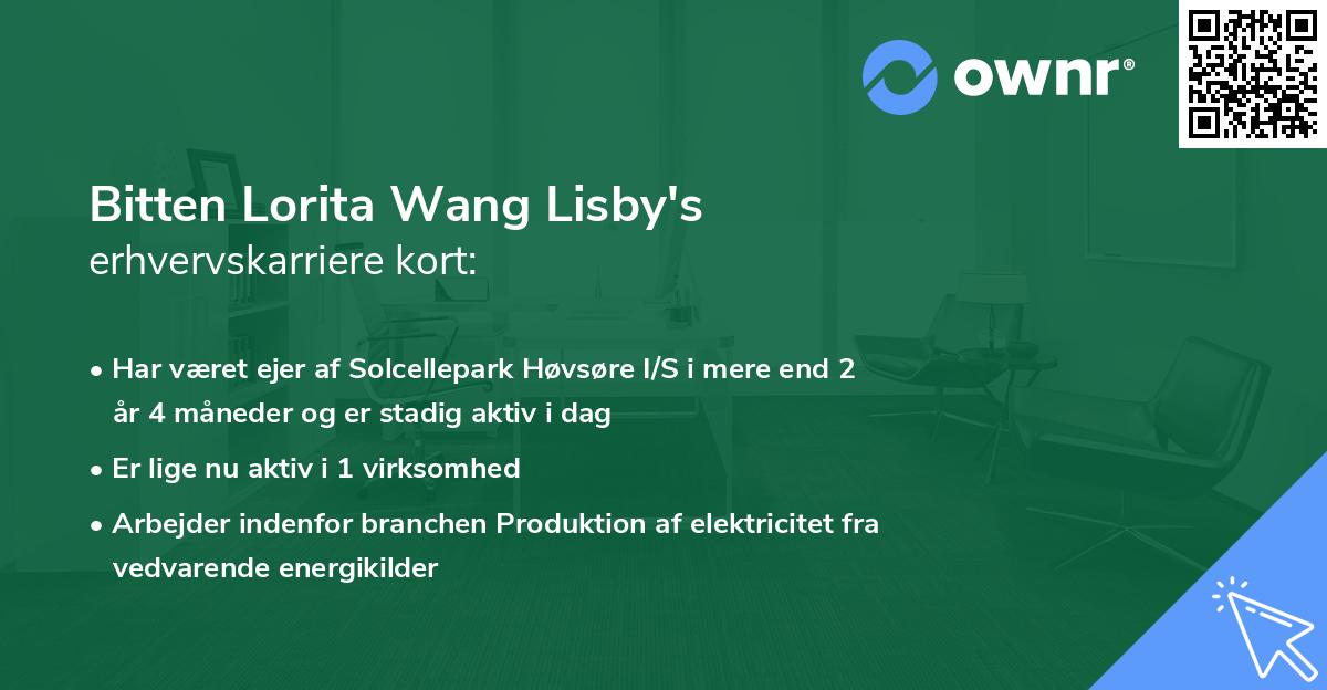 Bitten Lorita Wang Lisby's erhvervskarriere kort