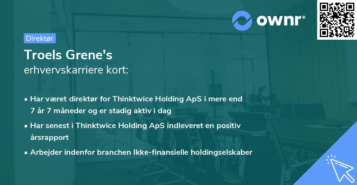 Troels Grene's erhvervskarriere kort