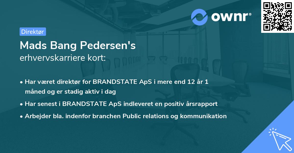 Mads Bang Pedersen's erhvervskarriere kort