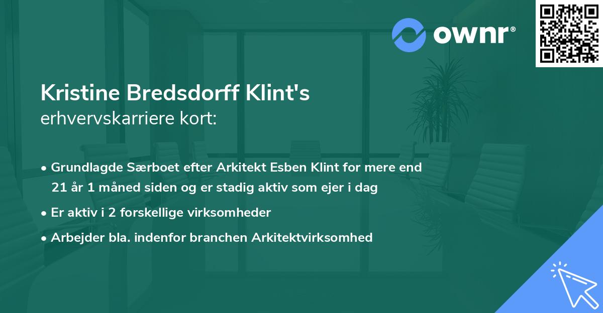 Kristine Bredsdorff Klint's erhvervskarriere kort