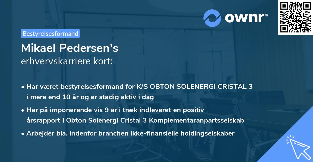 Mikael Pedersen's erhvervskarriere kort
