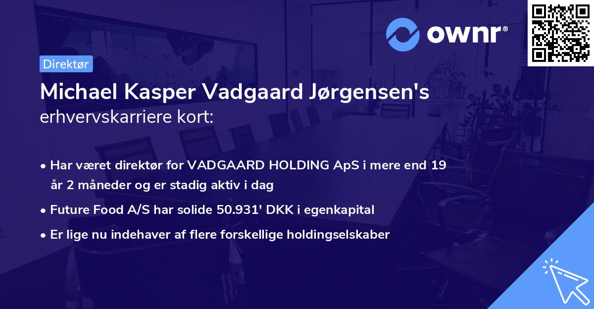Michael Kasper Vadgaard Jørgensen's erhvervskarriere kort