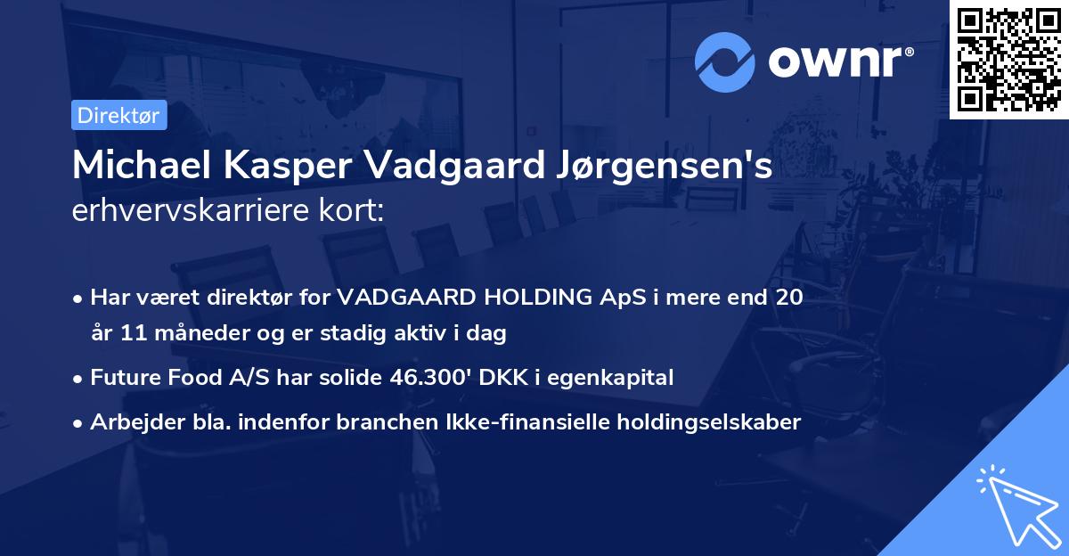 Michael Kasper Vadgaard Jørgensen's erhvervskarriere kort