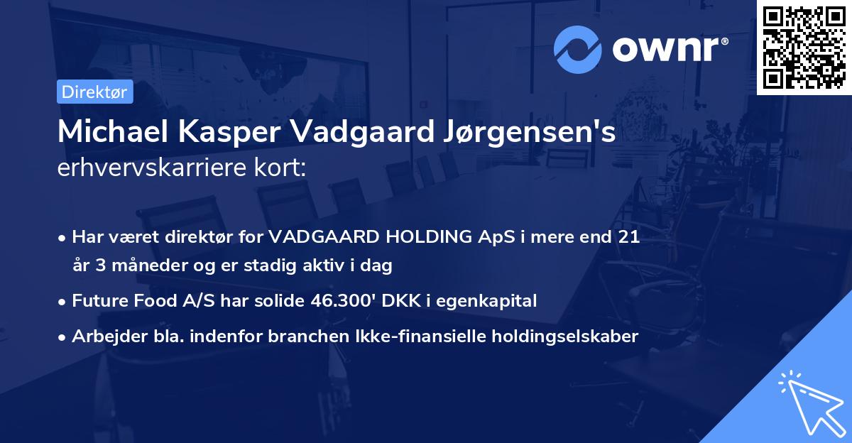 Michael Kasper Vadgaard Jørgensen's erhvervskarriere kort