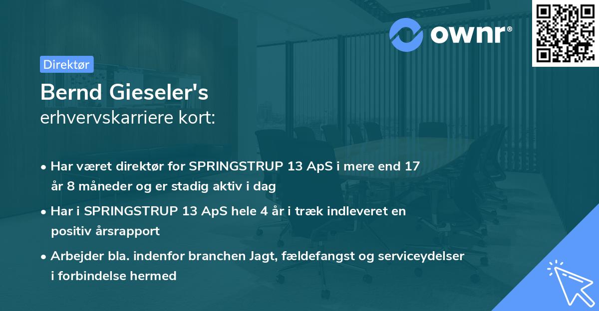 Bernd Gieseler's erhvervskarriere kort